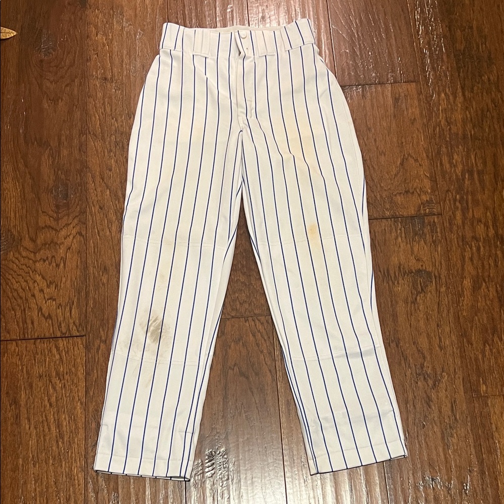 Men’s Royal Blue Pinstriped Champro Baseball Pants